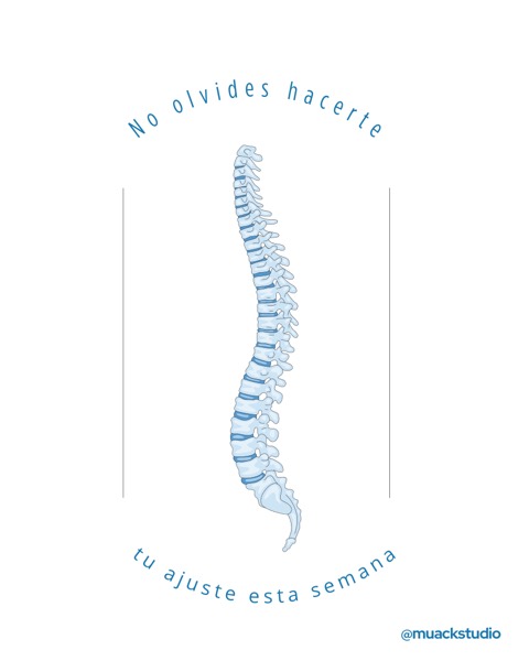 Recordatorio de ajuste quiropráctico con columna ilustrada